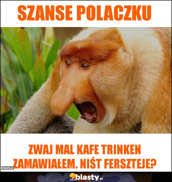 Szanse polaczku Szanse polaczku