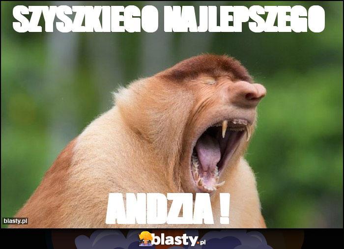 SZYSZKIEGO NAJLEPSZEGO SZYSZKIEGO NAJLEPSZEGO