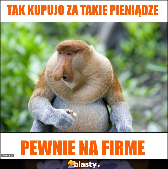 TAK KUPUJO ZA TAKIE PIENIĄDZE