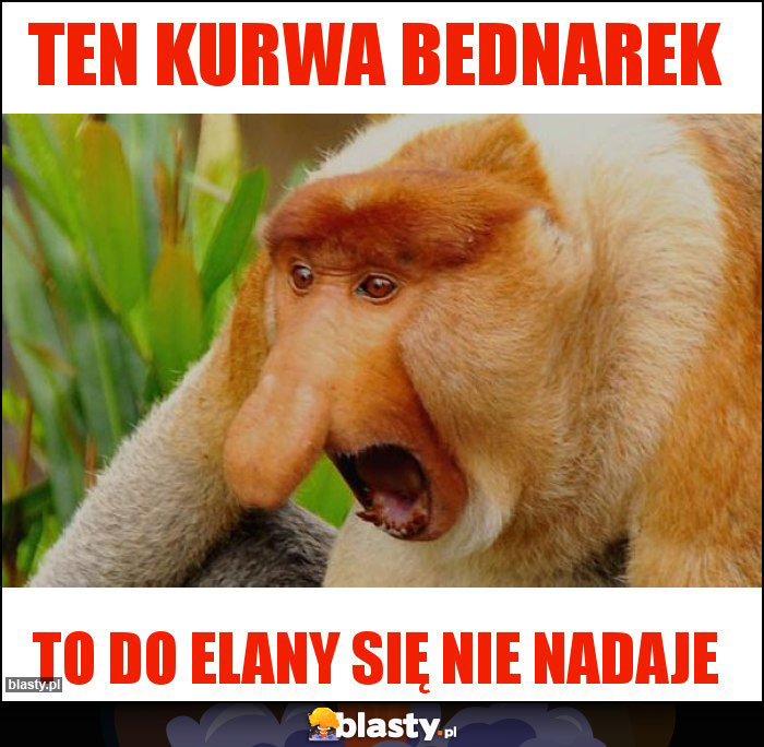 Ten kurwa Bednarek Ten kurwa Bednarek