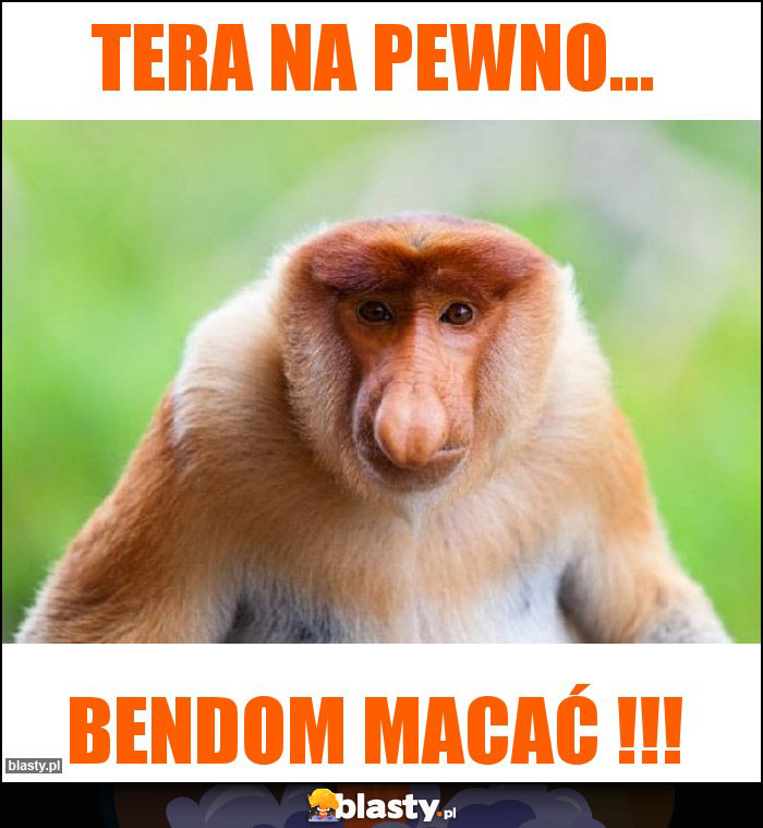 TERA NA PEWNO... TERA NA PEWNO...