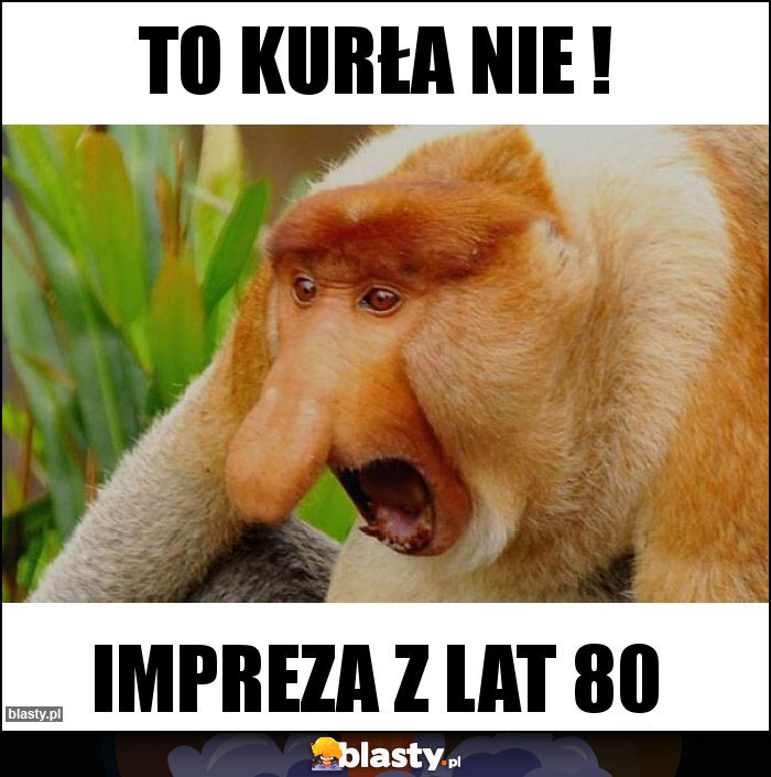 to kurła nie ! to kurła nie !