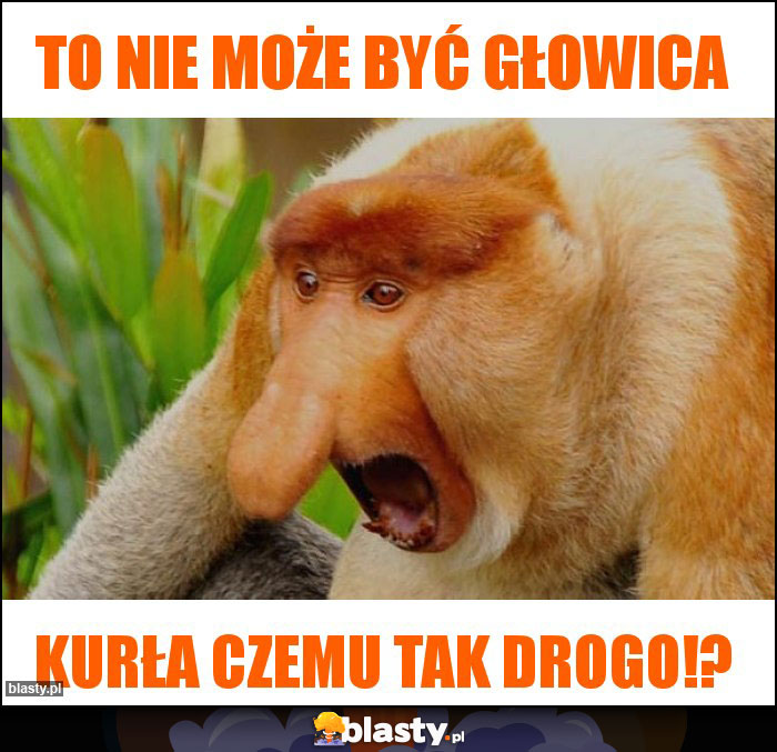 TO NIE MOŻE BYĆ GŁOWICA