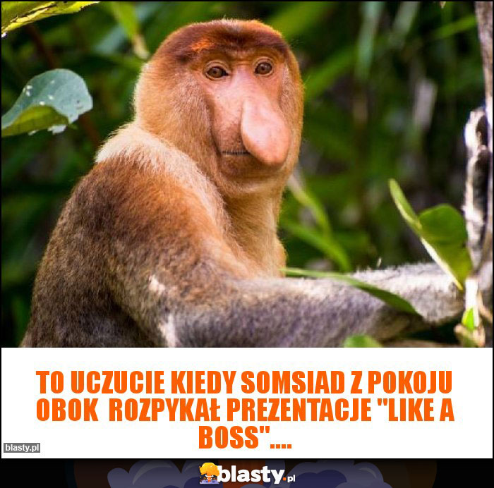 To uczucie kiedy somsiad z pokoju obok rozpykał prezentacje To uczucie kiedy somsiad z pokoju obok rozpykał prezentacje