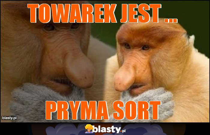 Towarek jest ... Towarek jest ...