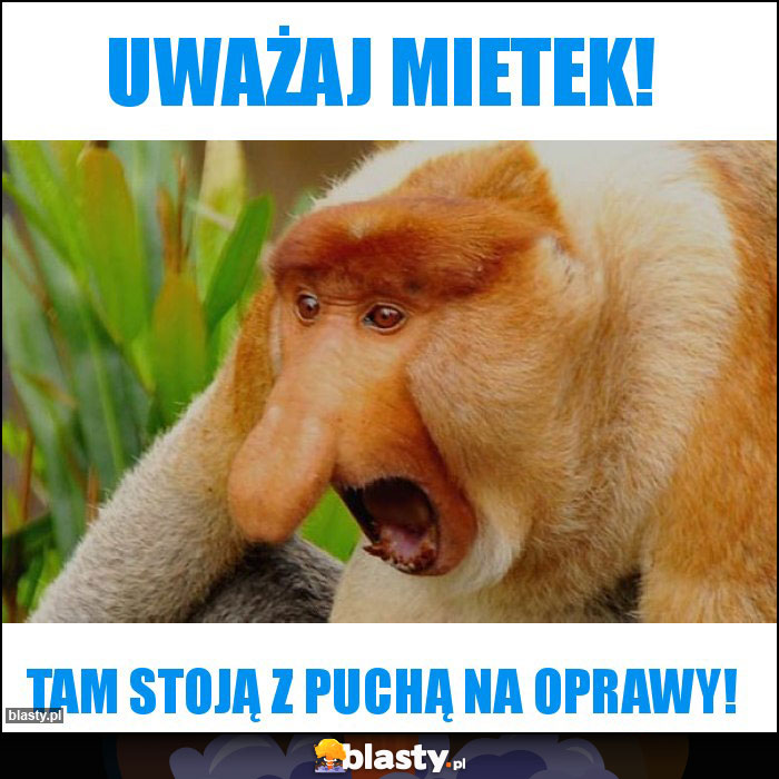 Uważaj Mietek! Uważaj Mietek!