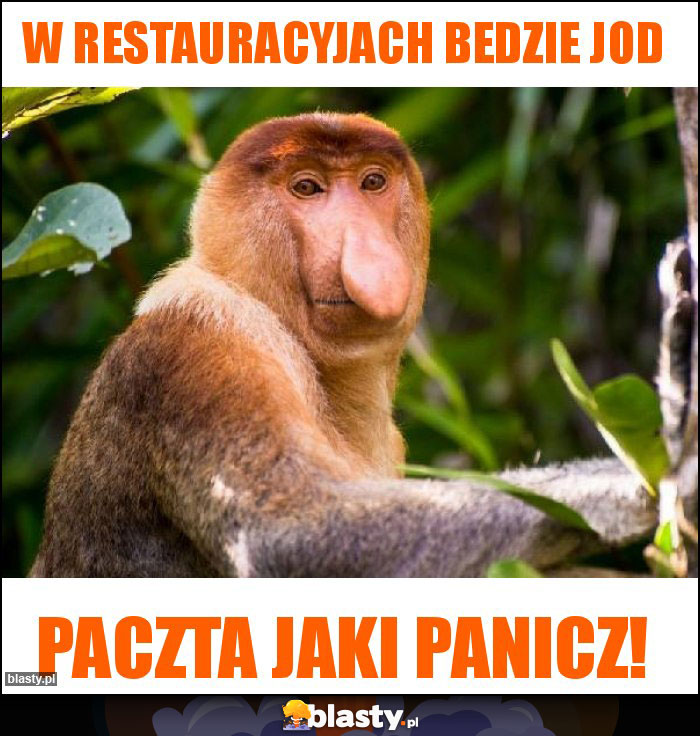 W restauracyjach bedzie jod W restauracyjach bedzie jod