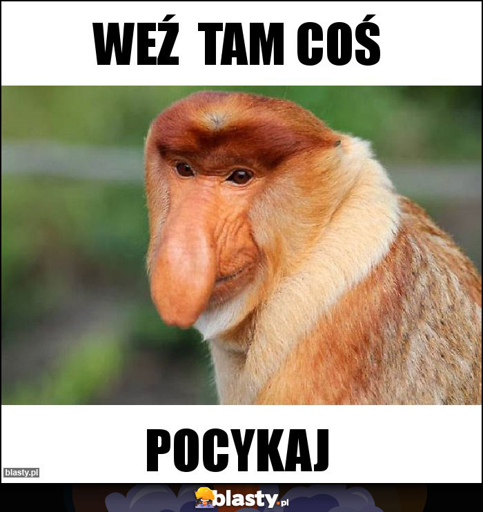 Weź  tam coś
