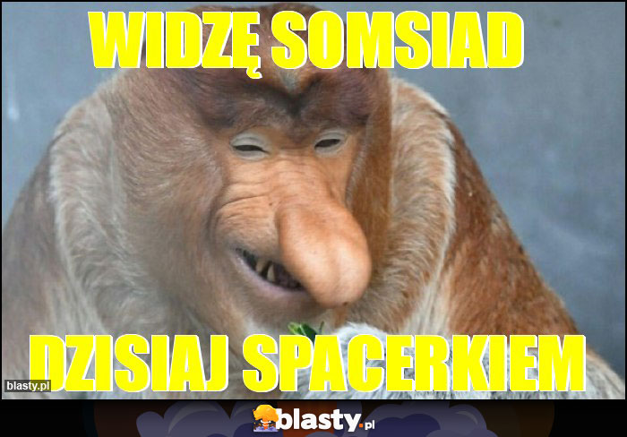 WIDZĘ SOMSIAD WIDZĘ SOMSIAD