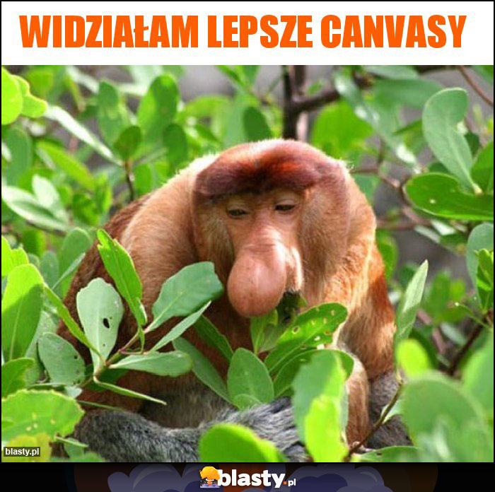 Widziałam lepsze Canvasy Widziałam lepsze Canvasy