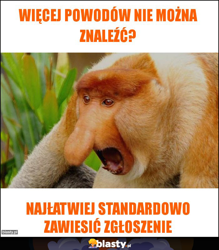 więcej powodów nie można znaleźć? więcej powodów nie można znaleźć?