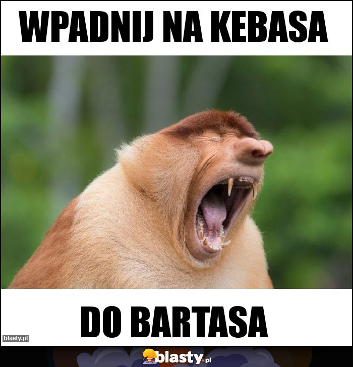 Wpadnij na kebasa Wpadnij na kebasa