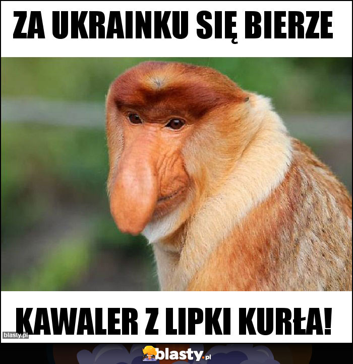 ZA Ukrainku się Bierze ZA Ukrainku się Bierze