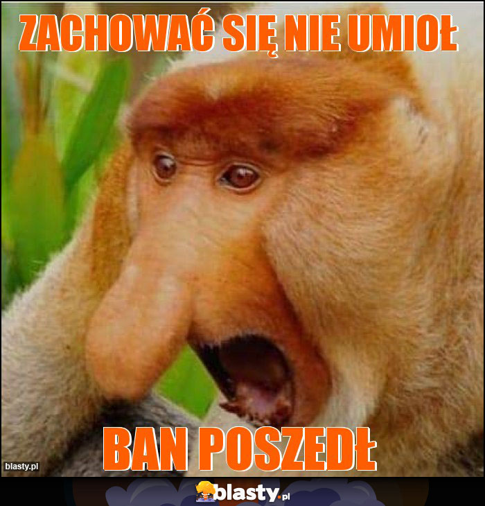 Zachować się nie umioł Zachować się nie umioł