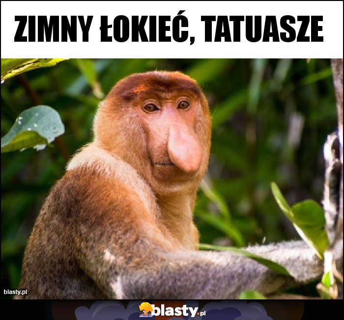 Zimny łokieć, tatuasze Zimny łokieć, tatuasze