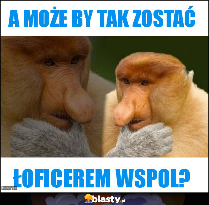 A może by tak zostać A może by tak zostać