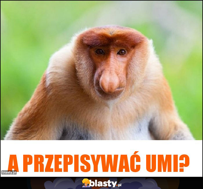 A przepisywać umi? A przepisywać umi?