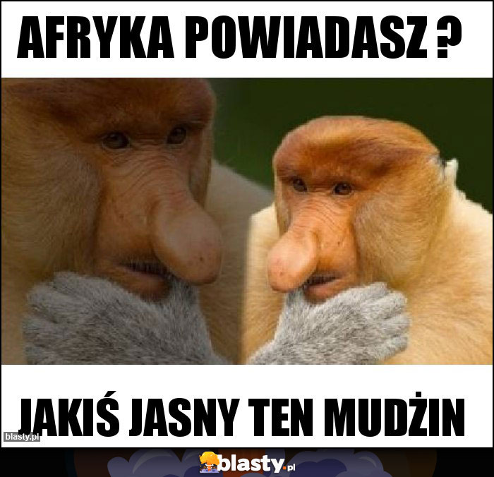 Afryka powiadasz ? Afryka powiadasz ?