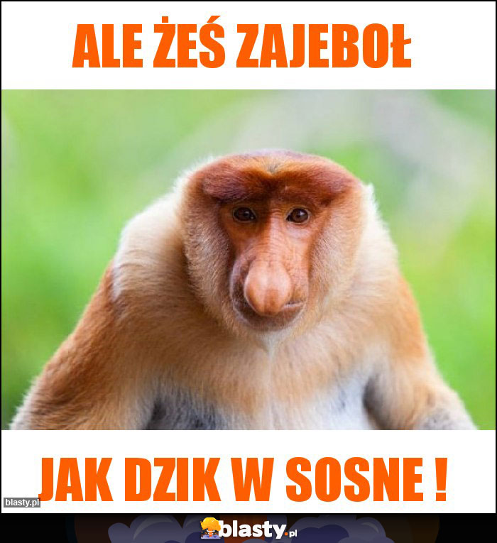 Ale żeś zajeboł Ale żeś zajeboł