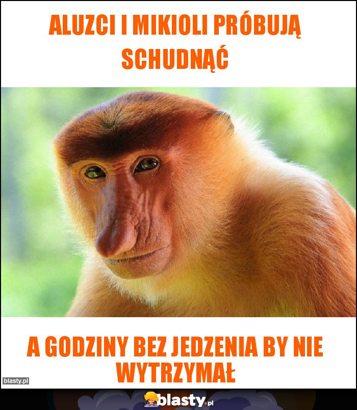 Aluzci i mikioli próbują schudnąć Aluzci i mikioli próbują schudnąć