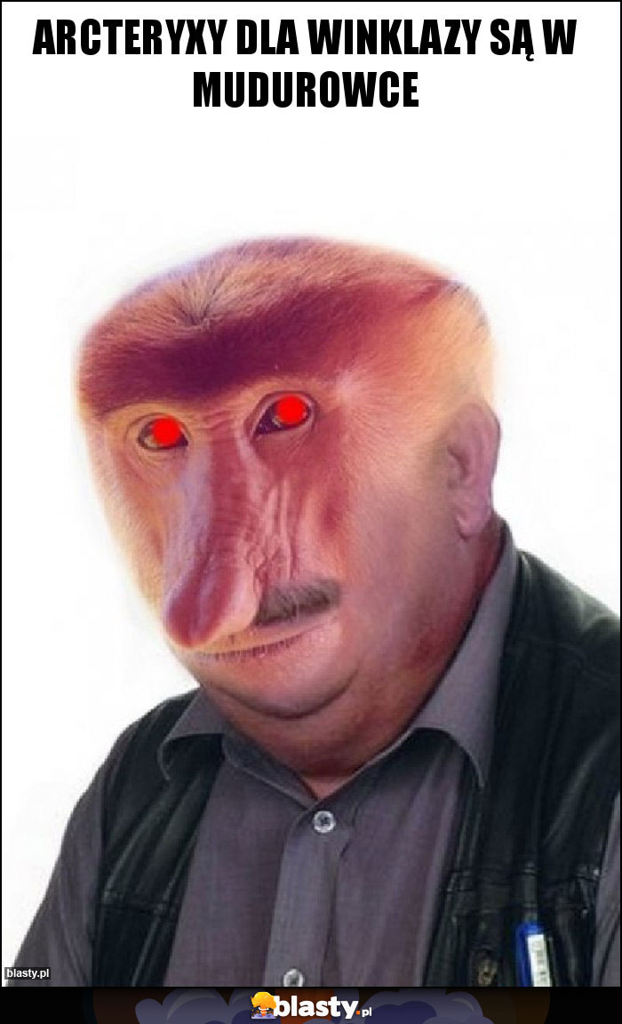 ARcteryxy dla winklazy są w mudurowce ARcteryxy dla winklazy są w mudurowce