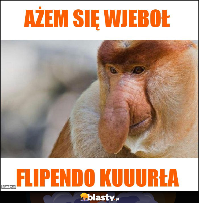 ażem się wjeboł ażem się wjeboł