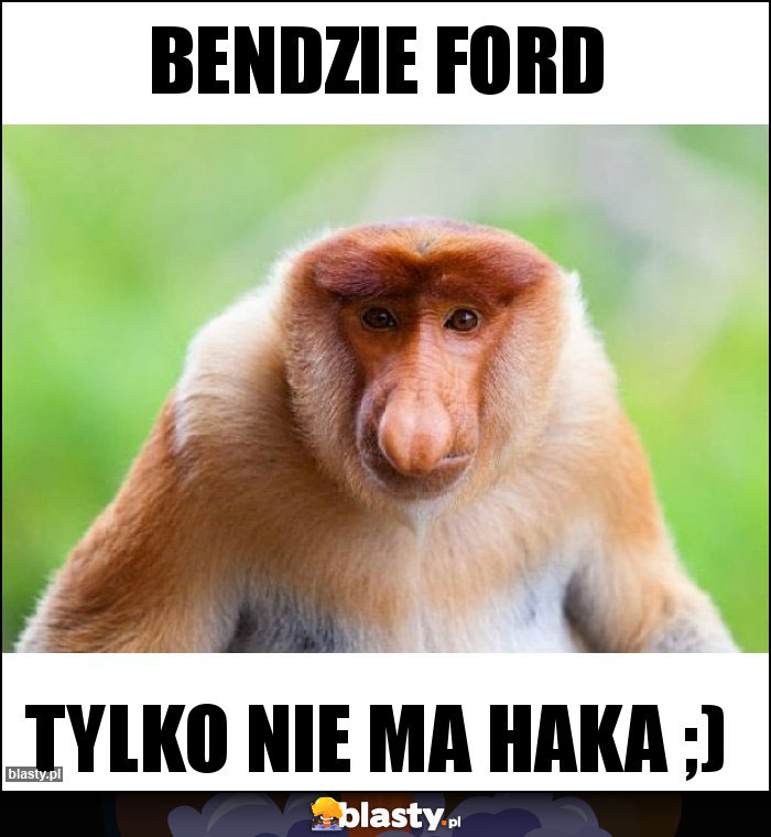 BENDZIE FORD BENDZIE FORD