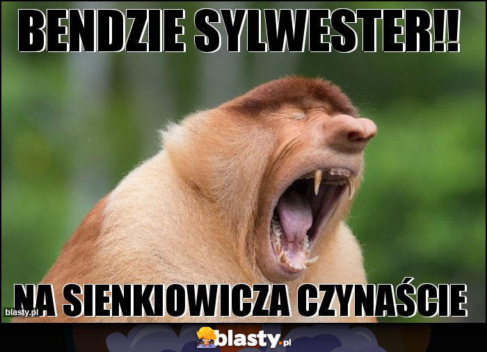Bendzie Sylwester!! Bendzie Sylwester!!