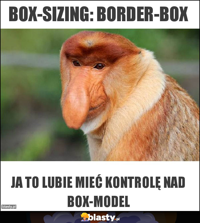 box-sizing: border-box box-sizing: border-box