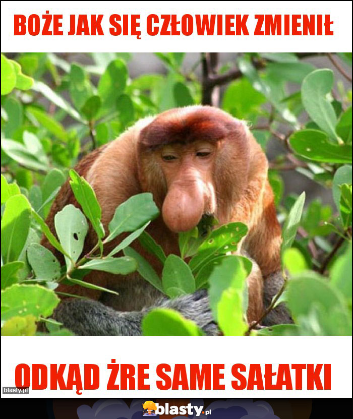 Boże jak się człowiek zmienił