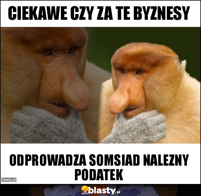 ciekawe czy za te byznesy ciekawe czy za te byznesy