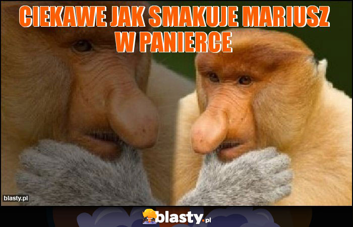Ciekawe jak smakuje Mariusz w panierce Ciekawe jak smakuje Mariusz w panierce