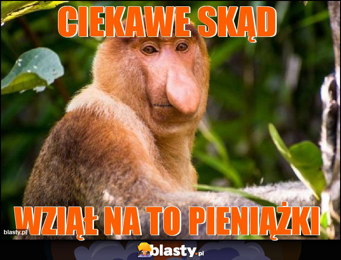CIEKAWE SKĄD CIEKAWE SKĄD