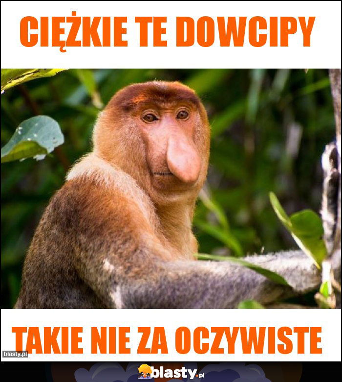 Ciężkie te dowcipy