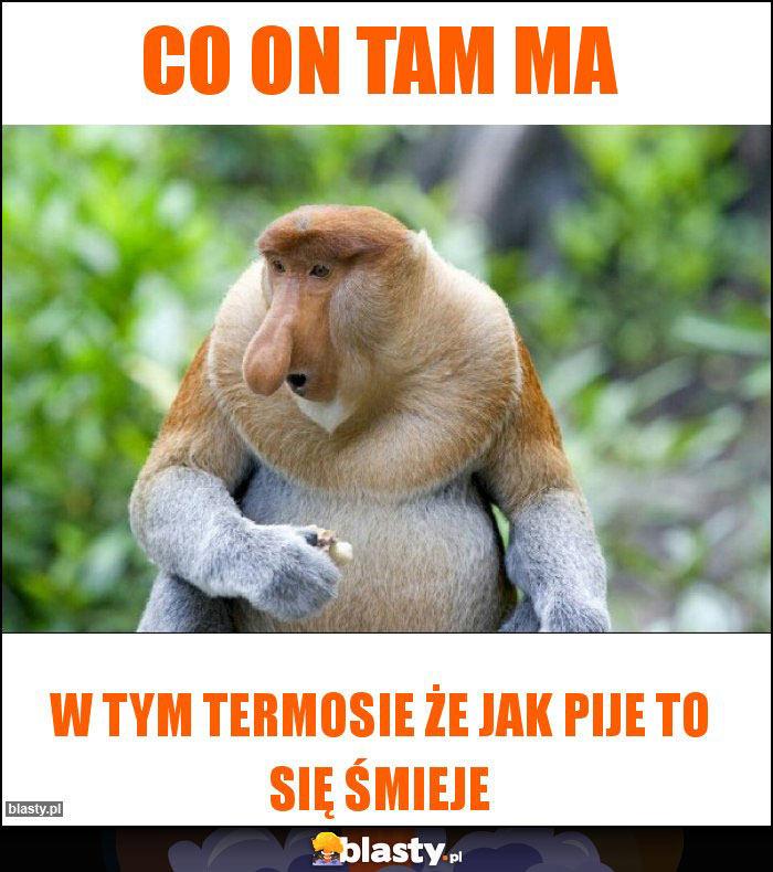 Co on tam ma Co on tam ma
