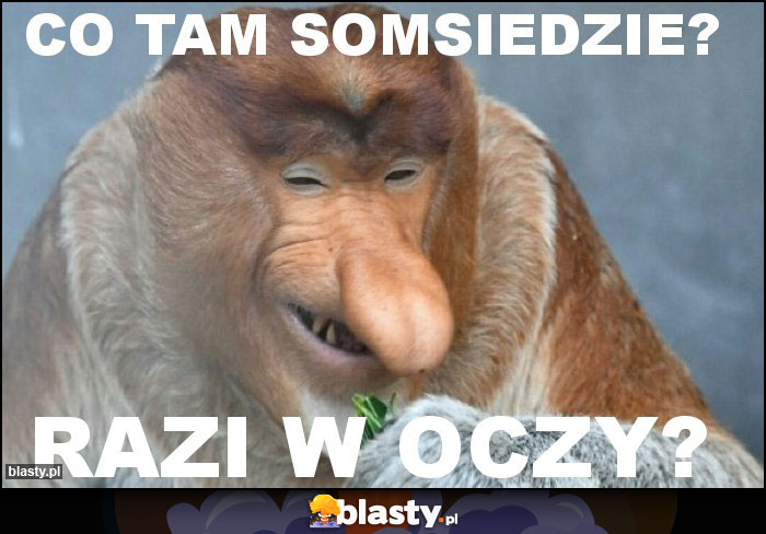 Co tam somsiedzie? Co tam somsiedzie?