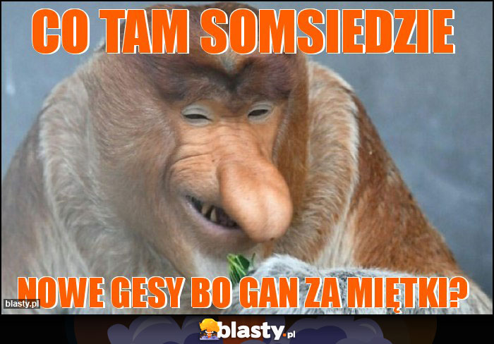 co tam somsiedzie co tam somsiedzie