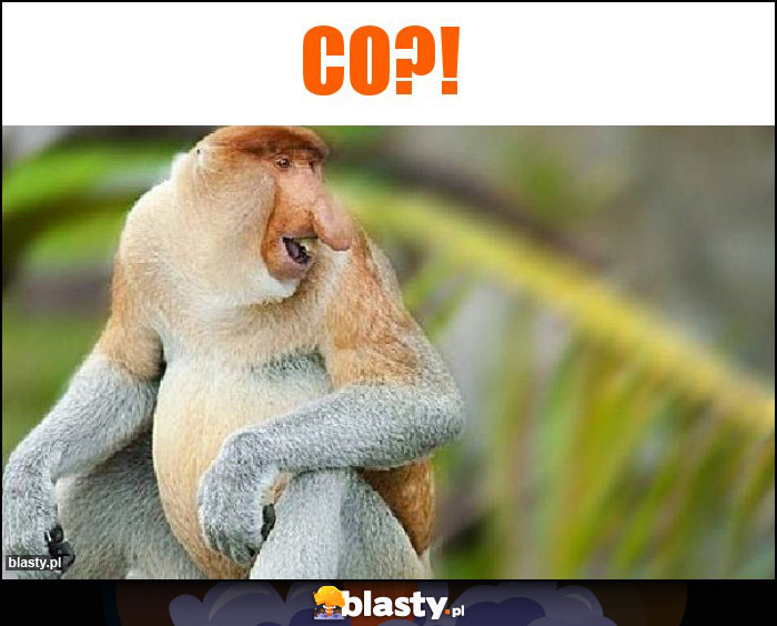 CO?!