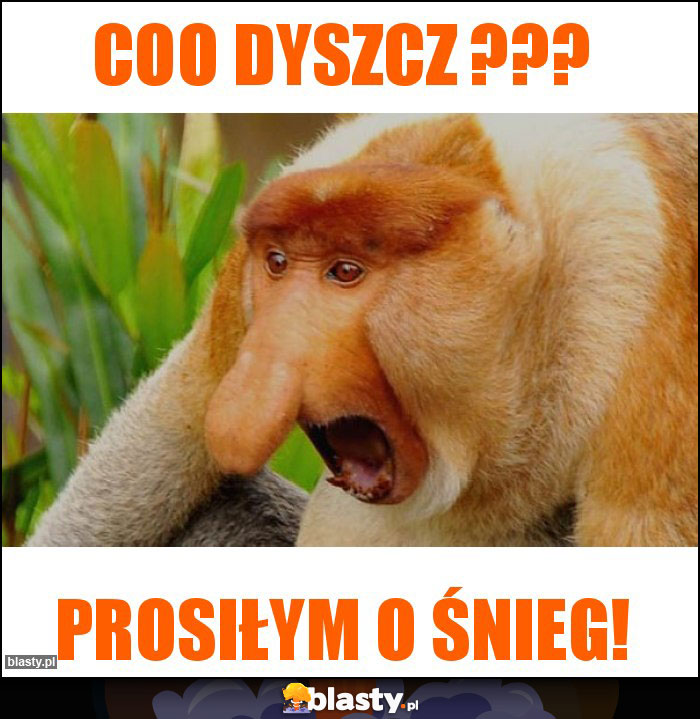 coo dyszcz ??? coo dyszcz ???