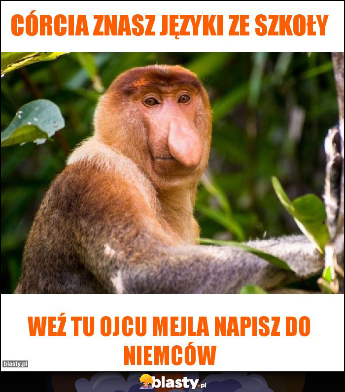 Córcia znasz języki ze szkoły