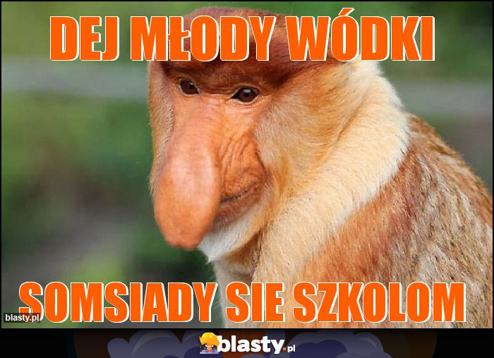 dej młody wódki dej młody wódki