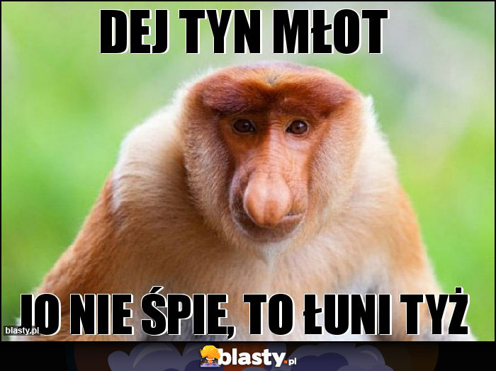 dej tyn młot dej tyn młot