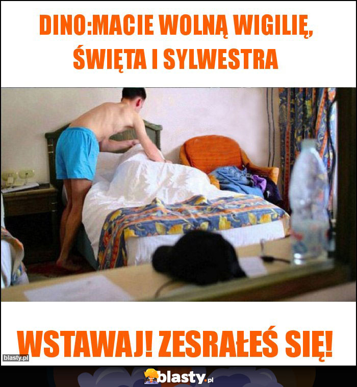 Dino:Macie wolną wigilię, święta i sylwestra Dino:Macie wolną wigilię, święta i sylwestra