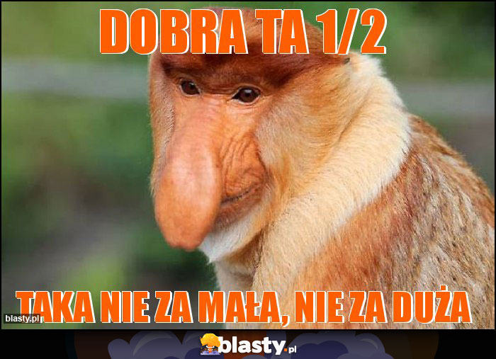 Dobra ta 1/2 Dobra ta 1/2