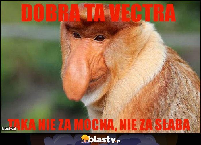 Dobra ta Vectra Dobra ta Vectra