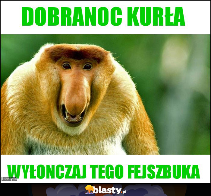 Dobranoc kurła