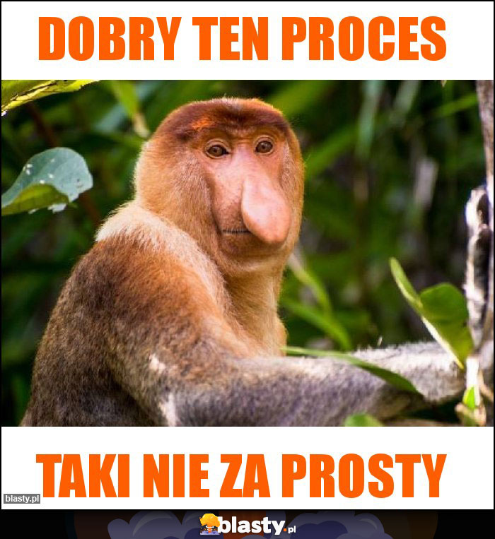 Dobry ten proces Dobry ten proces