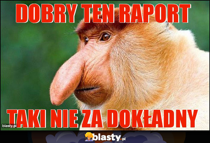 Dobry ten raport Dobry ten raport