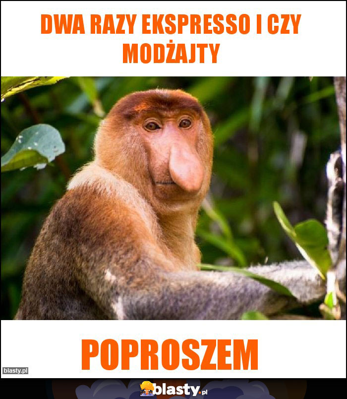 Dwa razy ekspresso i czy modżajty Dwa razy ekspresso i czy modżajty