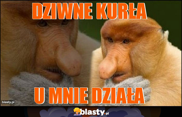 Dziwne kurła Dziwne kurła